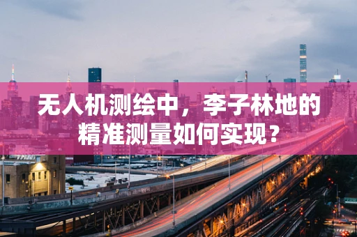 无人机测绘中，李子林地的精准测量如何实现？