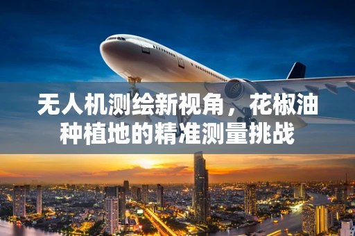 无人机测绘新视角，花椒油种植地的精准测量挑战