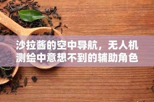 沙拉酱的空中导航，无人机测绘中意想不到的辅助角色？