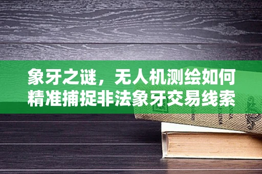 象牙之谜，无人机测绘如何精准捕捉非法象牙交易线索？