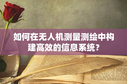 如何在无人机测量测绘中构建高效的信息系统？
