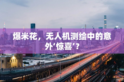 爆米花，无人机测绘中的意外‘惊喜’？