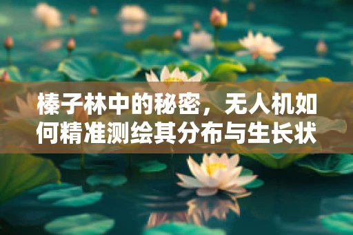 榛子林中的秘密，无人机如何精准测绘其分布与生长状况？