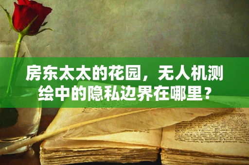 房东太太的花园，无人机测绘中的隐私边界在哪里？