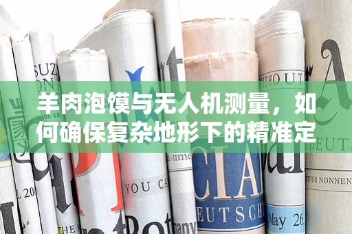 羊肉泡馍与无人机测量，如何确保复杂地形下的精准定位？