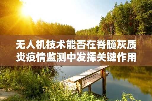 无人机技术能否在脊髓灰质炎疫情监测中发挥关键作用？