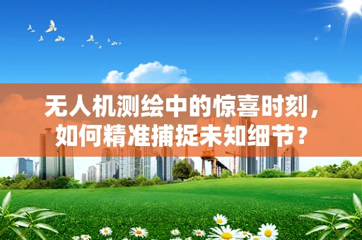 无人机测绘中的惊喜时刻，如何精准捕捉未知细节？