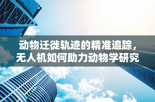 动物迁徙轨迹的精准追踪，无人机如何助力动物学研究？