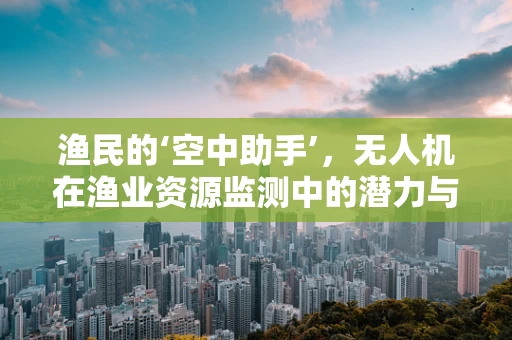 渔民的‘空中助手’，无人机在渔业资源监测中的潜力与挑战