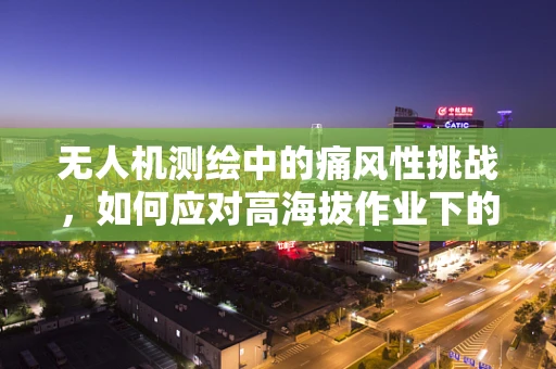 无人机测绘中的痛风性挑战，如何应对高海拔作业下的关节健康问题？