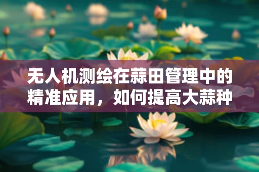 无人机测绘在蒜田管理中的精准应用，如何提高大蒜种植面积的快速测量与评估？