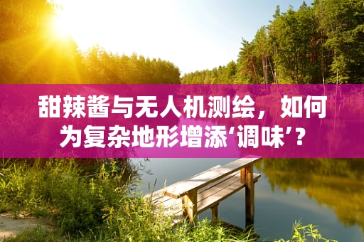甜辣酱与无人机测绘，如何为复杂地形增添‘调味’？
