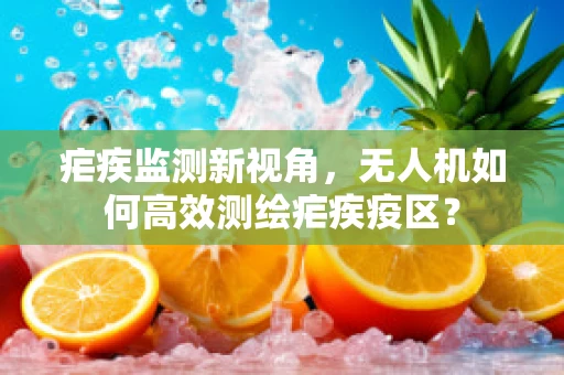 疟疾监测新视角，无人机如何高效测绘疟疾疫区？