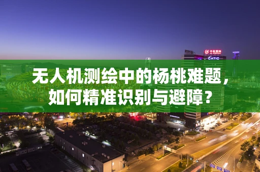 无人机测绘中的杨桃难题，如何精准识别与避障？