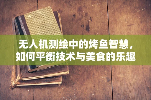 无人机测绘中的烤鱼智慧，如何平衡技术与美食的乐趣？