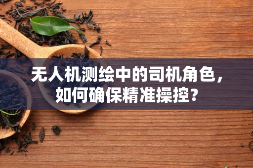 无人机测绘中的司机角色，如何确保精准操控？