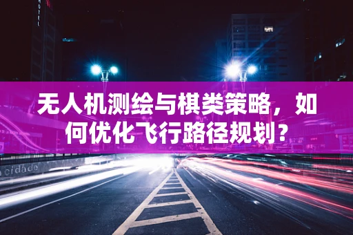 无人机测绘与棋类策略，如何优化飞行路径规划？
