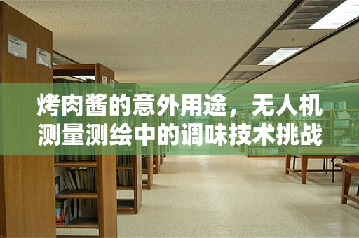 烤肉酱的意外用途，无人机测量测绘中的调味技术挑战？
