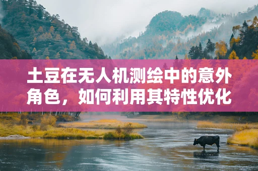 土豆在无人机测绘中的意外角色，如何利用其特性优化飞行稳定性？