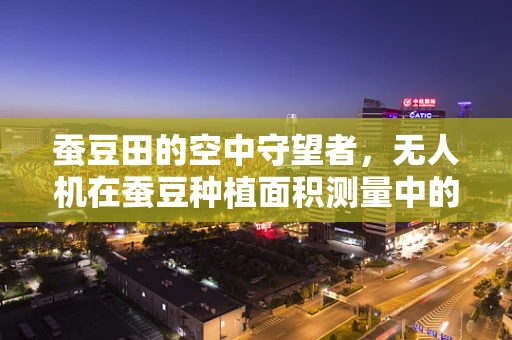 蚕豆田的空中守望者，无人机在蚕豆种植面积测量中的应用挑战