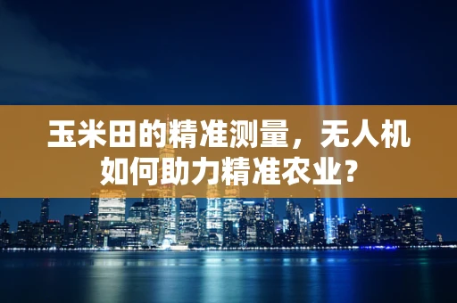 玉米田的精准测量，无人机如何助力精准农业？