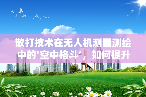 散打技术在无人机测量测绘中的‘空中格斗’，如何提升精准度与效率？