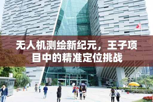无人机测绘新纪元，王子项目中的精准定位挑战