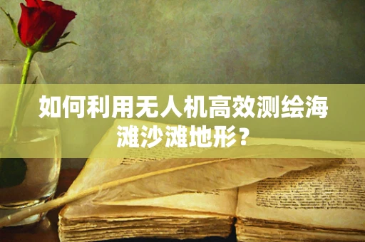 如何利用无人机高效测绘海滩沙滩地形？