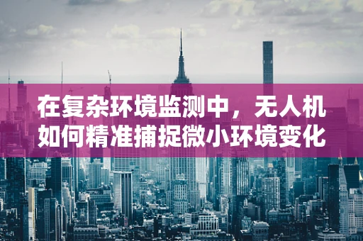 在复杂环境监测中，无人机如何精准捕捉微小环境变化？