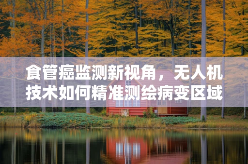 食管癌监测新视角，无人机技术如何精准测绘病变区域？