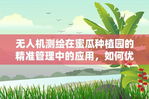 无人机测绘在蜜瓜种植园的精准管理中的应用，如何优化蜜瓜产量与品质的监测？