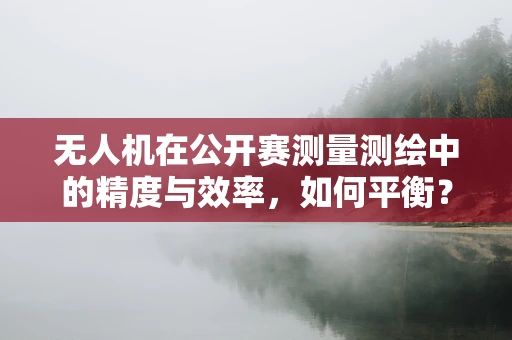无人机在公开赛测量测绘中的精度与效率，如何平衡？