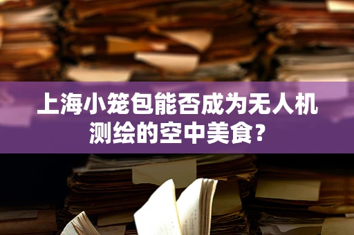 上海小笼包能否成为无人机测绘的空中美食？