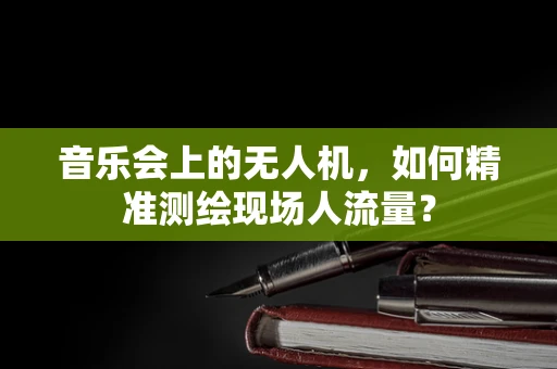 音乐会上的无人机，如何精准测绘现场人流量？