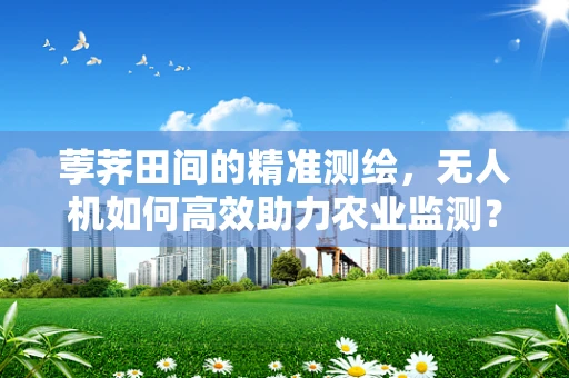 荸荠田间的精准测绘，无人机如何高效助力农业监测？