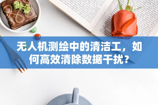 无人机测绘中的清洁工，如何高效清除数据干扰？