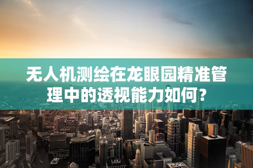 无人机测绘在龙眼园精准管理中的透视能力如何？