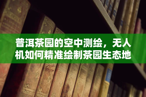 普洱茶园的空中测绘，无人机如何精准绘制茶园生态地图？