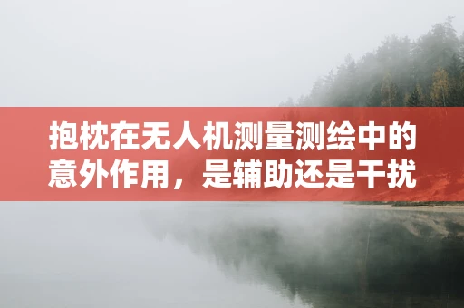 抱枕在无人机测量测绘中的意外作用，是辅助还是干扰？