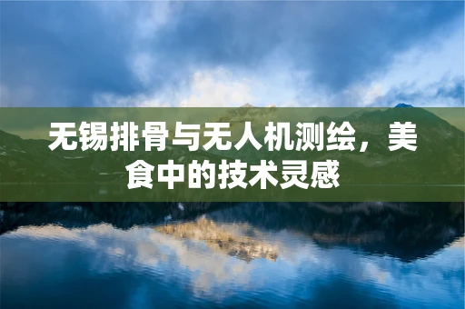 无锡排骨与无人机测绘，美食中的技术灵感
