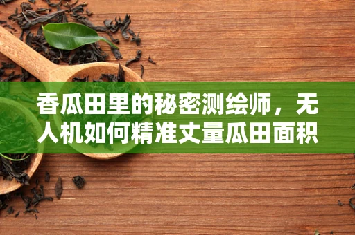 香瓜田里的秘密测绘师，无人机如何精准丈量瓜田面积？