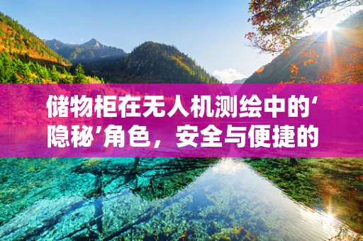 储物柜在无人机测绘中的‘隐秘’角色，安全与便捷的双重保障？