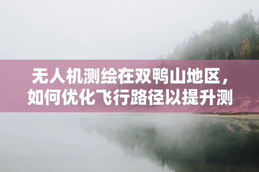 无人机测绘在双鸭山地区，如何优化飞行路径以提升测量精度？