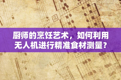 厨师的烹饪艺术，如何利用无人机进行精准食材测量？