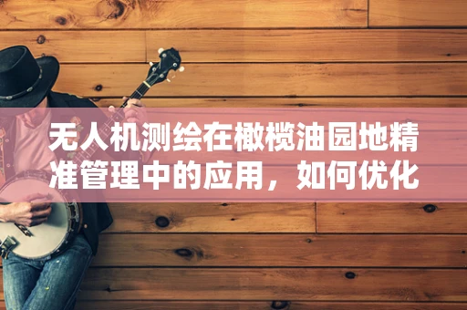无人机测绘在橄榄油园地精准管理中的应用，如何优化飞行路径以减少油橄榄树损害？