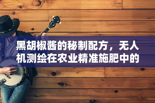 黑胡椒酱的秘制配方，无人机测绘在农业精准施肥中的应用