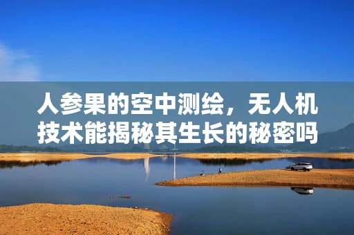 人参果的空中测绘，无人机技术能揭秘其生长的秘密吗？