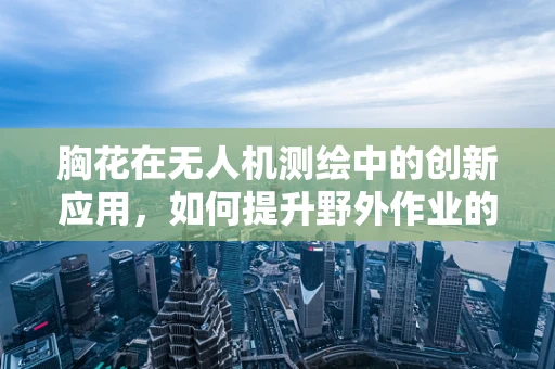胸花在无人机测绘中的创新应用，如何提升野外作业的标识与追踪效率？