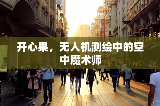 开心果，无人机测绘中的空中魔术师