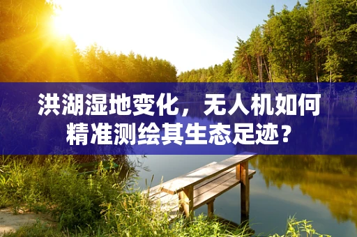 洪湖湿地变化，无人机如何精准测绘其生态足迹？
